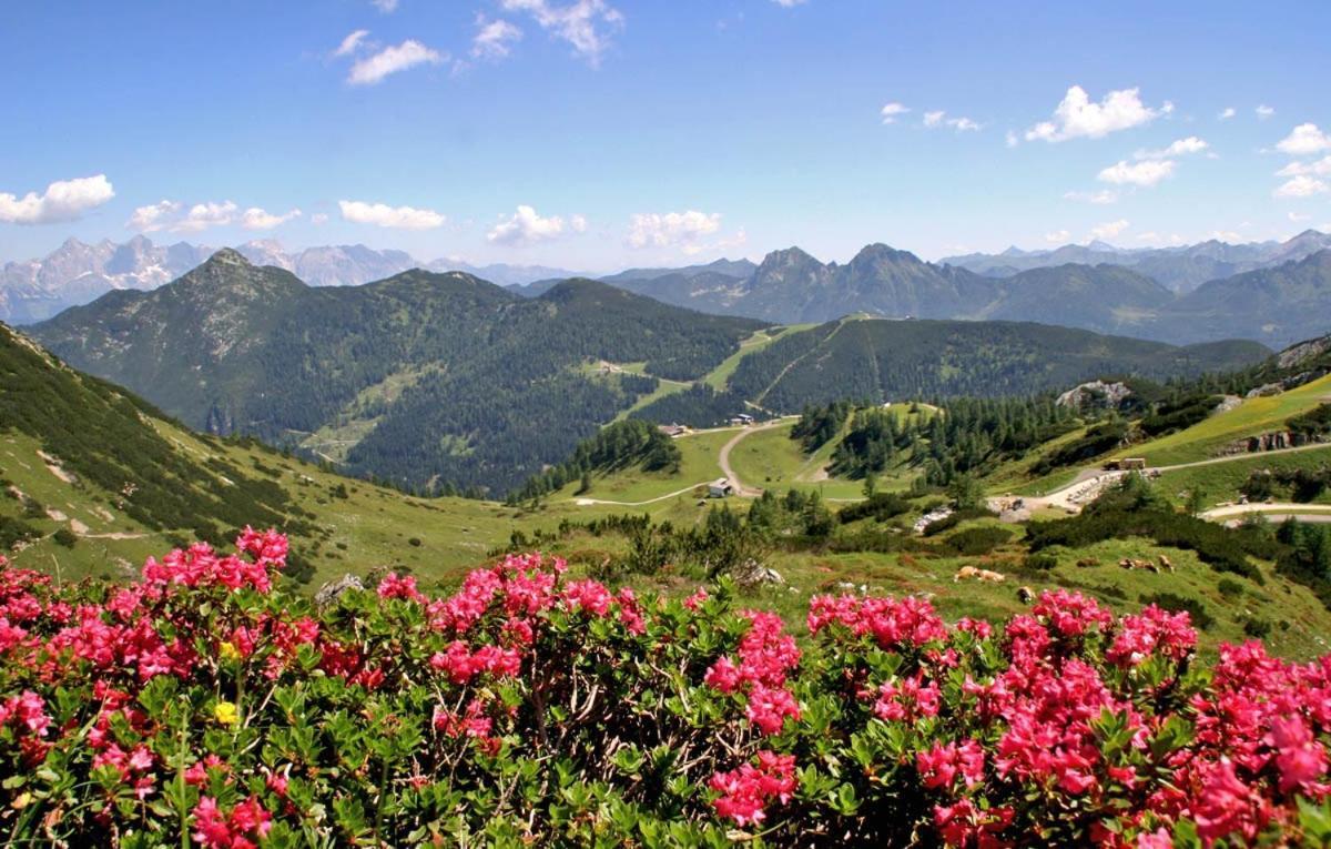 Vorderwiesgut Altenmarkt im Pongau Luaran gambar