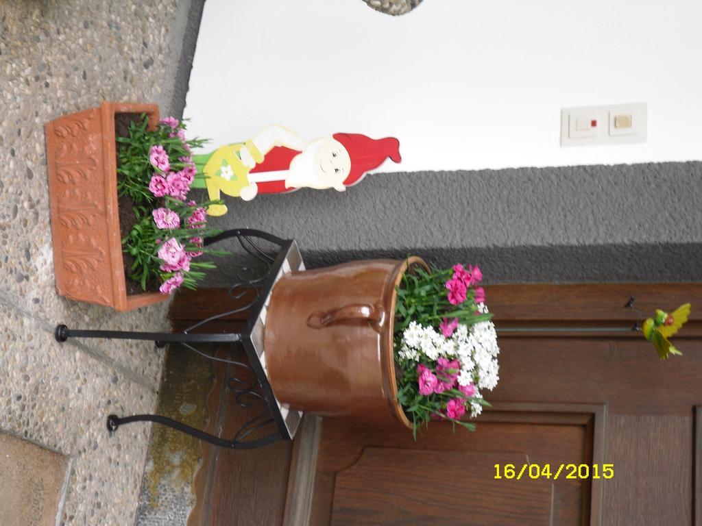 Vorderwiesgut Altenmarkt im Pongau Luaran gambar
