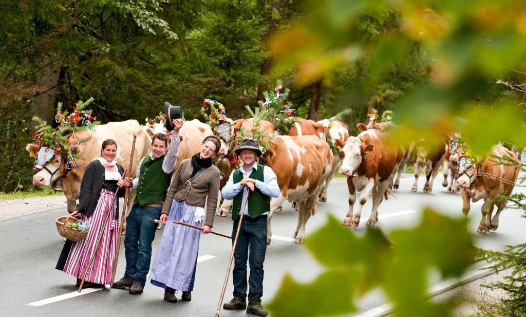 Vorderwiesgut Altenmarkt im Pongau Luaran gambar