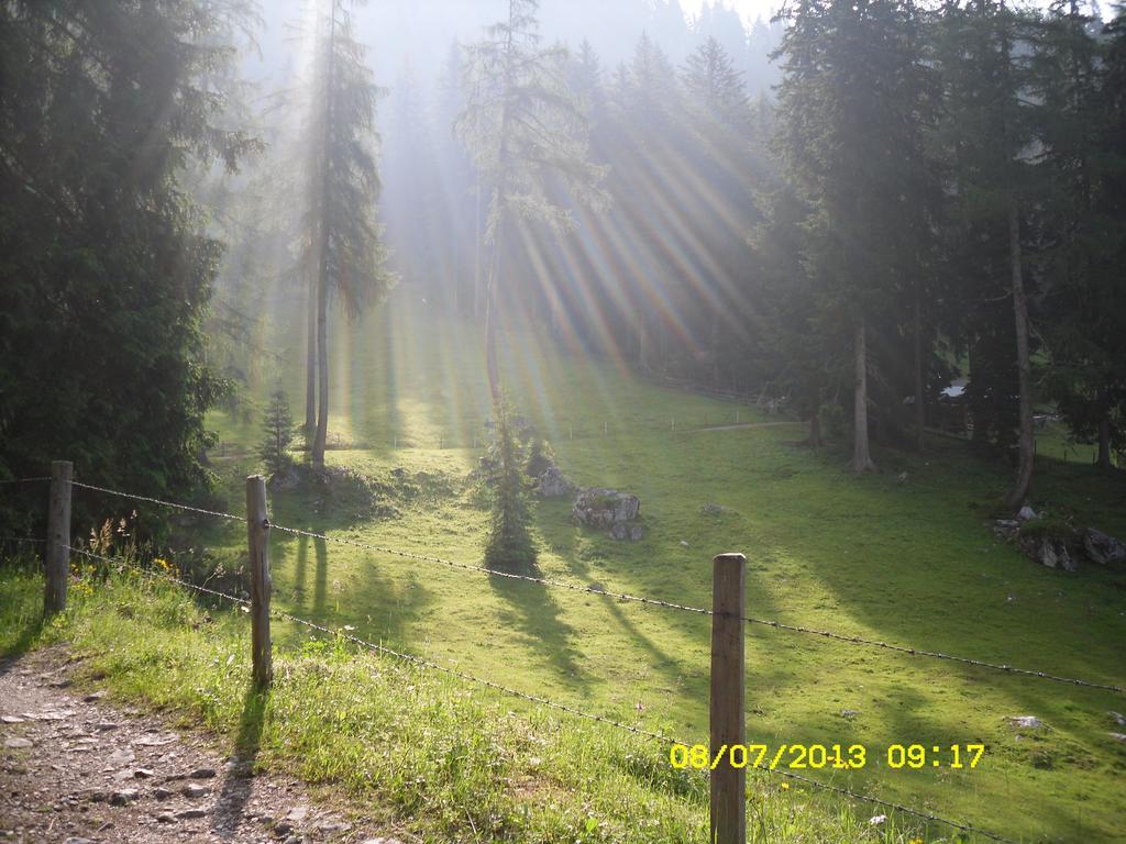 Vorderwiesgut Altenmarkt im Pongau Luaran gambar