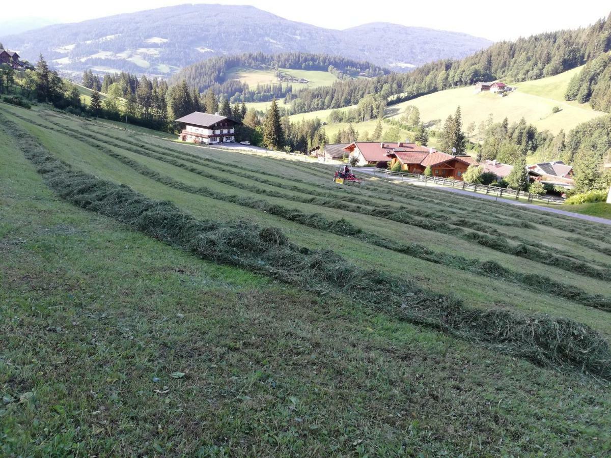 Vorderwiesgut Altenmarkt im Pongau Luaran gambar