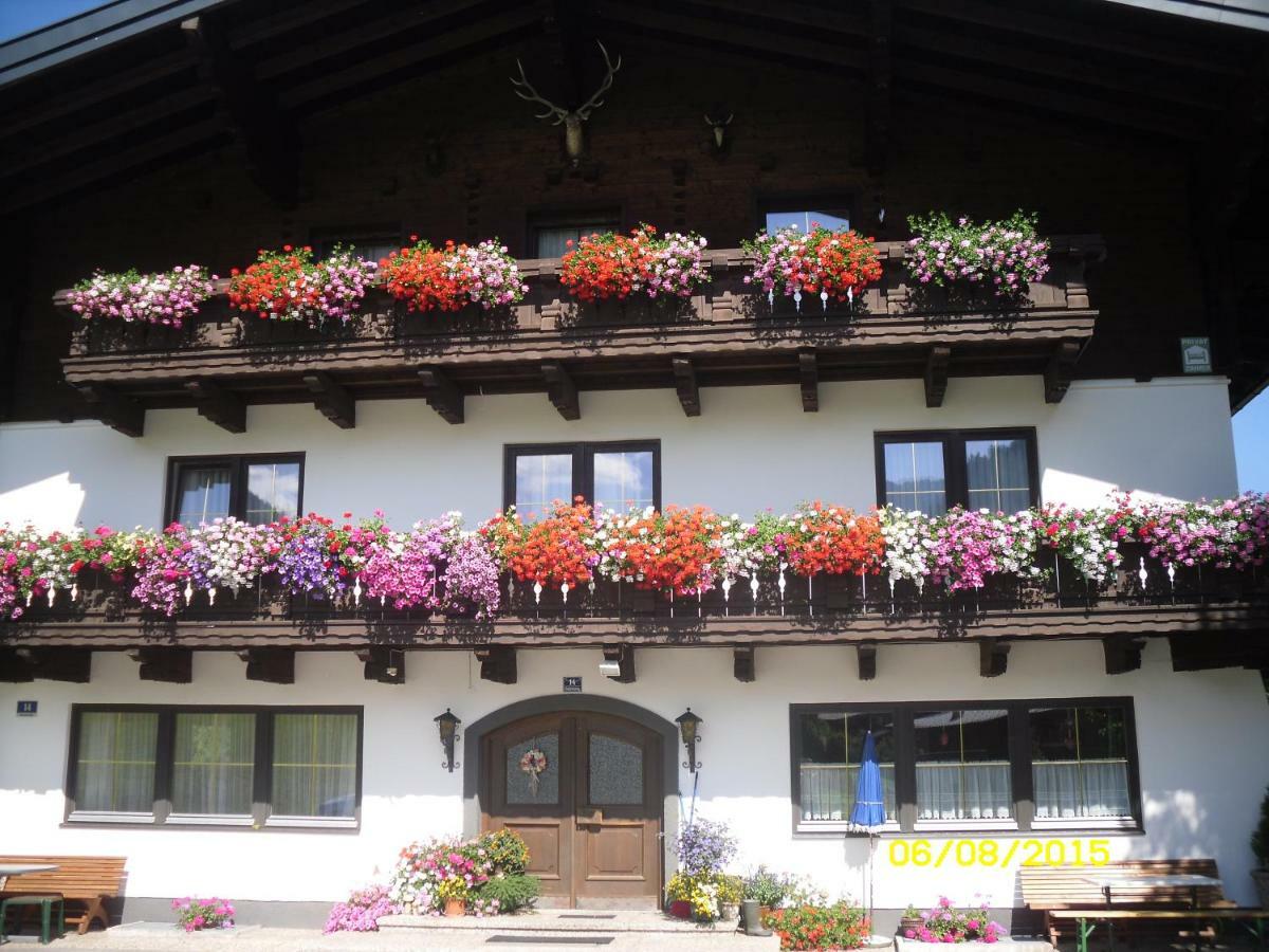 Vorderwiesgut Altenmarkt im Pongau Luaran gambar