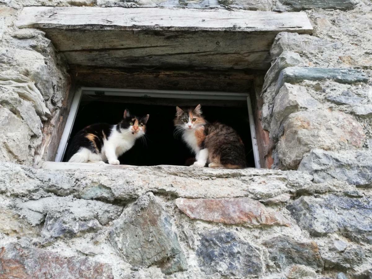 Vorderwiesgut Altenmarkt im Pongau Luaran gambar