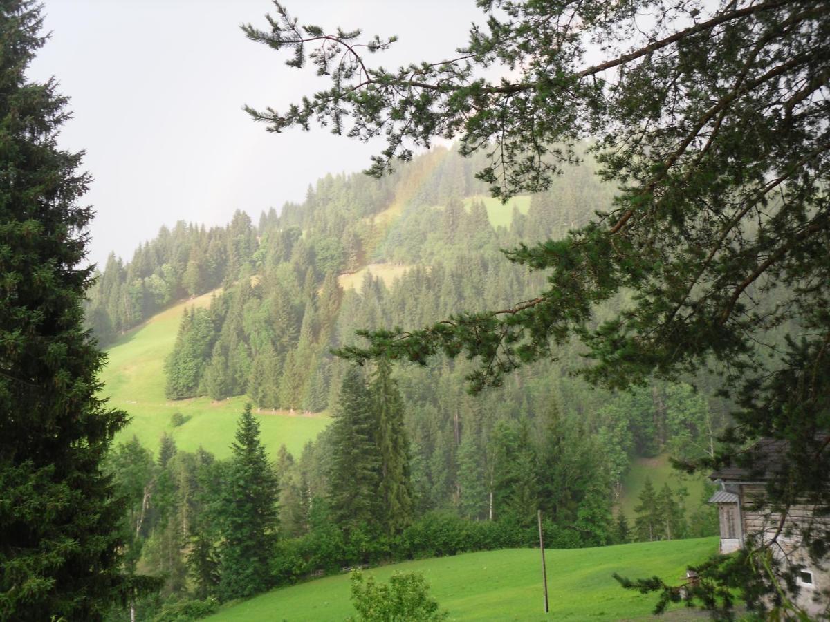 Vorderwiesgut Altenmarkt im Pongau Luaran gambar